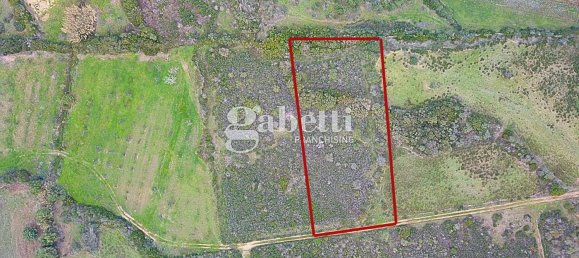 Земельный участок 4300м² в Будони, Италия № 265800 9