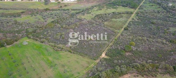 Земельный участок 4300м² в Будони, Италия № 265800 3