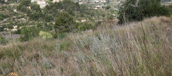 15m² Land in Benissa, Spain No. 5296 10