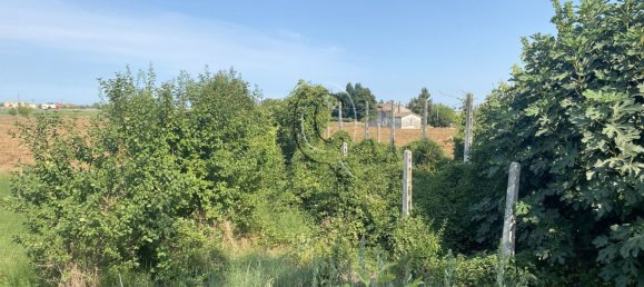 4700m² Land in Gatteo, Italy No. 204867 10