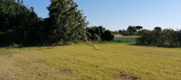 4700m² Land in Gatteo, Italy No. 204867 6