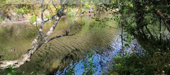 Grundstück in Sarzedas, Portugal 2440m², Nr. 238385 8