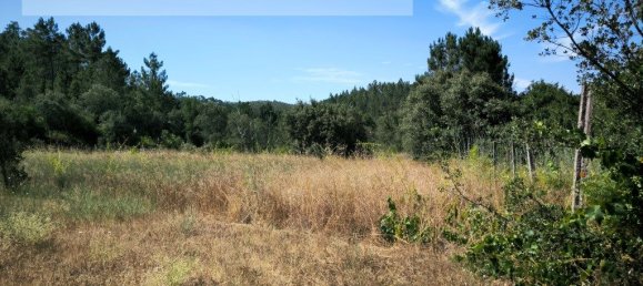 Grundstück in Sarzedas, Portugal 2440m², Nr. 238385 5