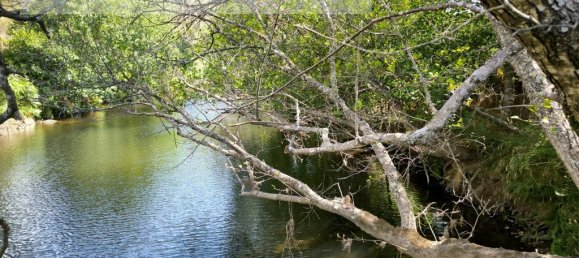 Grundstück in Sarzedas, Portugal 2440m², Nr. 238385 7