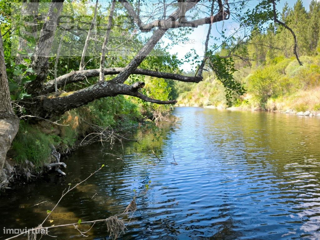 2440m² Land in Sarzedas, Portugal No. 238385