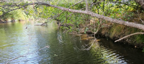 Grundstück in Sarzedas, Portugal 2440m², Nr. 238385 10