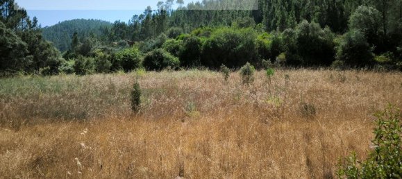 Grundstück in Sarzedas, Portugal 2440m², Nr. 238385 2