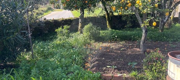 3 bedrooms House in Tondela, Portugal No. 174315 5