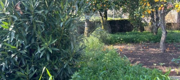 3 bedrooms House in Tondela, Portugal No. 174315 7