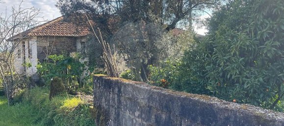 3 bedrooms House in Tondela, Portugal No. 174315 3