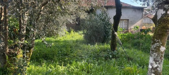 3 bedrooms House in Tondela, Portugal No. 174315 10