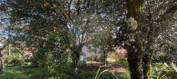 3 bedrooms House in Tondela, Portugal No. 174315 9