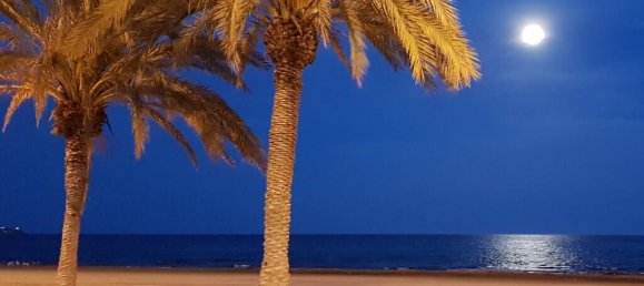 Villa T3 em Denia, Spain N.º 171485 13