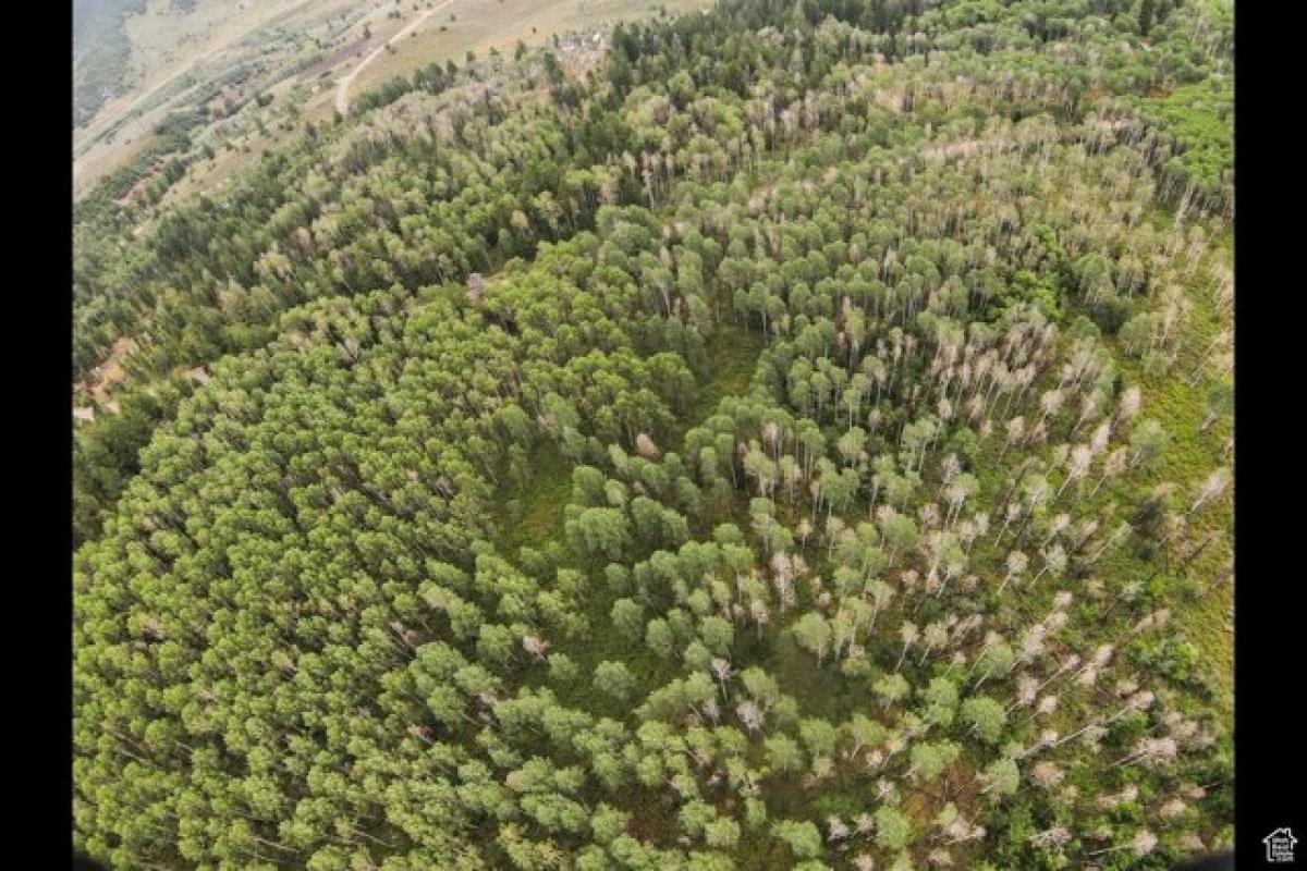 Grundstück in Spanish Fork, USA, Nr. 478586