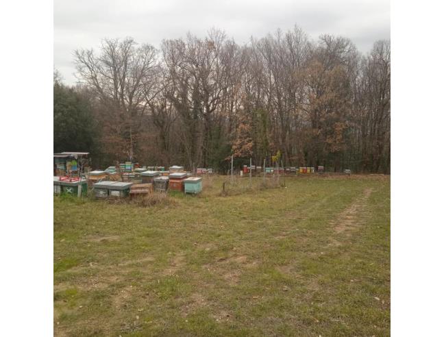 Земельный участок 2200м² в Гамбасси Терме, Италия № 252546