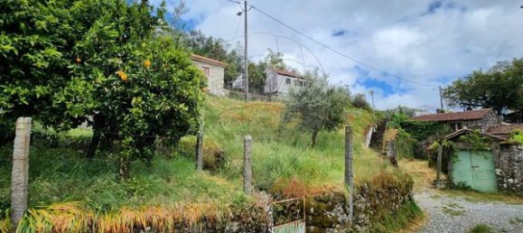 2 bedrooms House in Vouzela, Portugal No. 19512 12