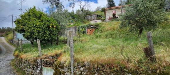 2 bedrooms House in Vouzela, Portugal No. 19512 13