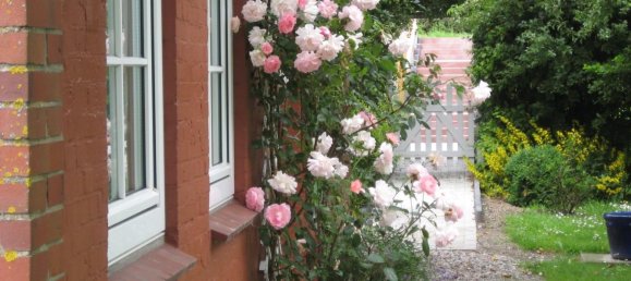 2 chambres Maison à Nordfriesland, Germany No. 108313 4