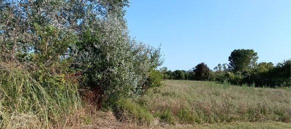 1 room Land in Santarcangelo di Romagna, Italy No. 305874 5