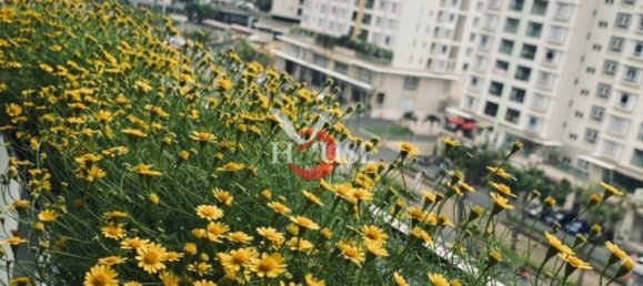 2 bedrooms Apartment in District 7, Vietnam No. 9863 2