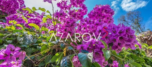 3 rooms House in Bordighera, Italy No. 73316 19