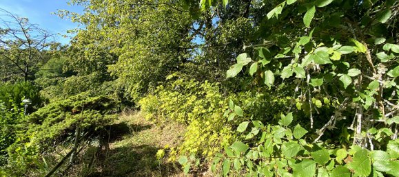 5 chambres Châteaux à Berneuil-sur-Aisne, France No. 156559 18