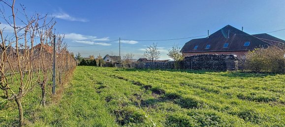 Terreno en Dambach-la-Ville, France No. 51342 6