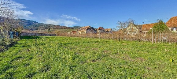 Terreno en Dambach-la-Ville, France No. 51342 5