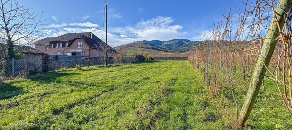 Terreno en Dambach-la-Ville, France No. 51342 2