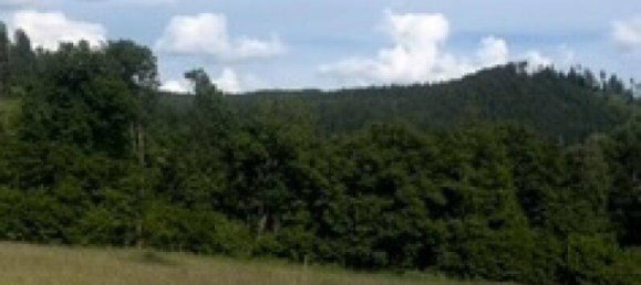 Terrain à Magdalensberg, Austria 2000m² No. 210246 28