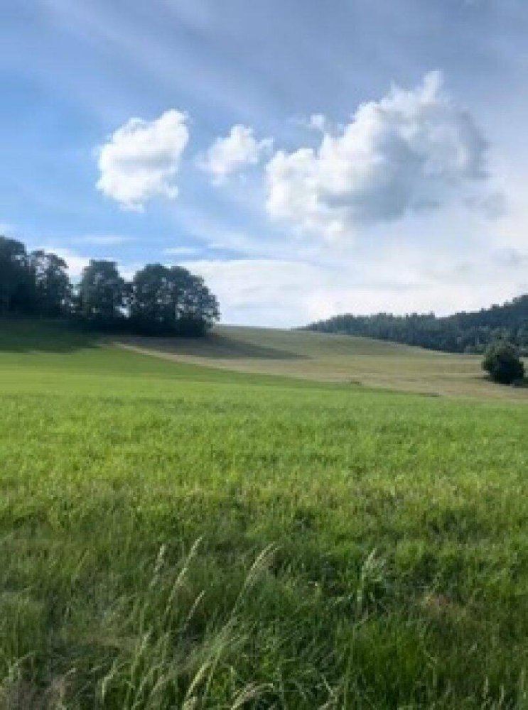 Terrain à Magdalensberg, Austria 2000m² No. 210246