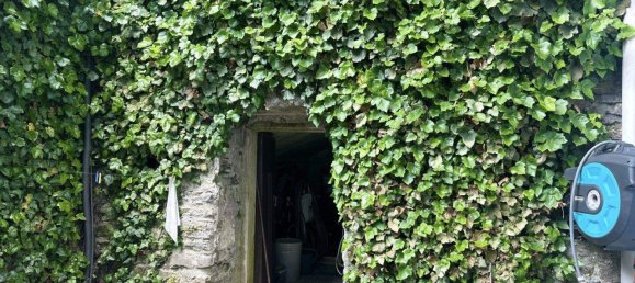 4 rooms House in Prigglitz, Austria No. 142922 10