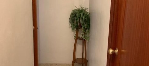 2 bedrooms Apartment in Sanlucar de Barrameda, Spain No. 179466 19