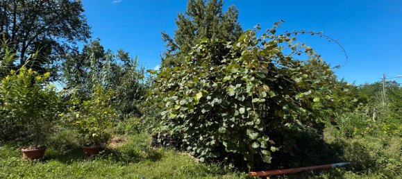 8 غرف نوم فيلا في Lindau, Germany رقم 346374 5