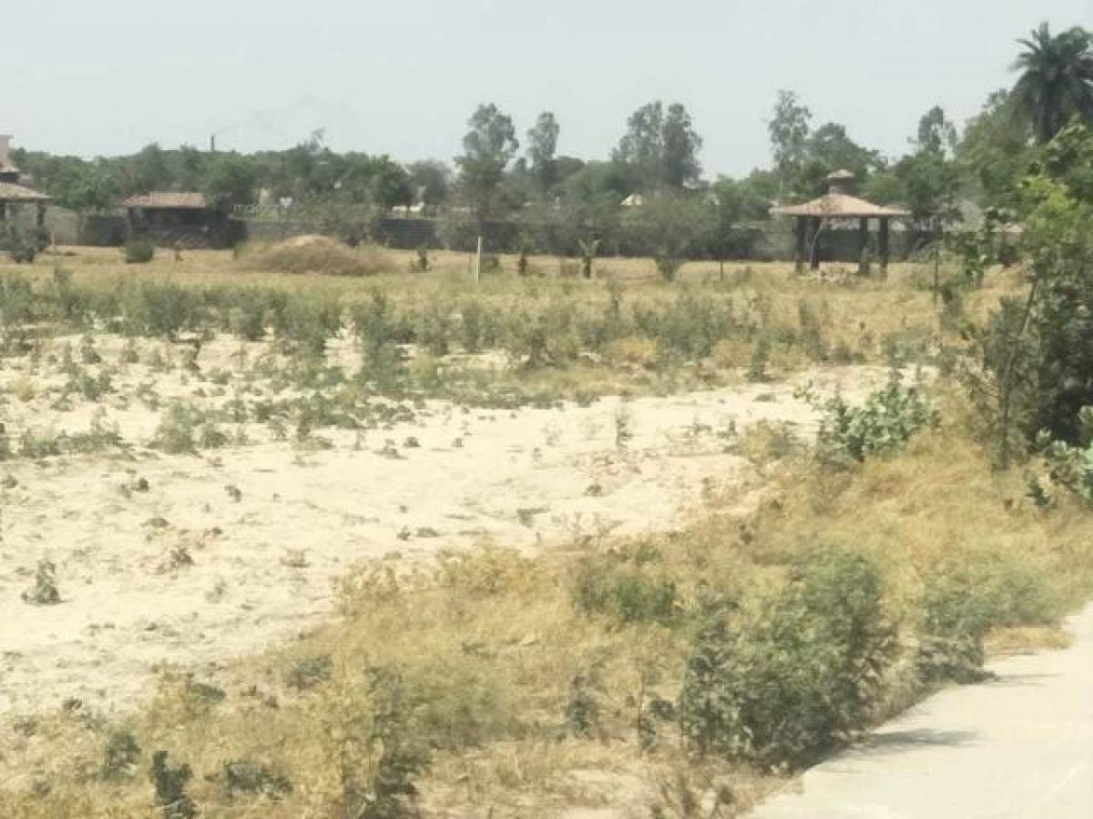 Terreno en Noida, India No. 66160