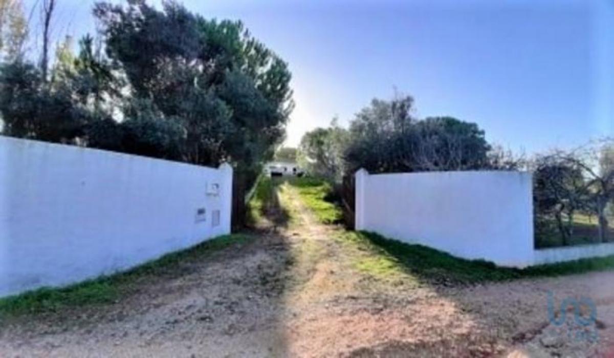 استوديو في Lagos, Portugal رقم 2688
