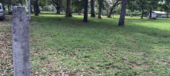 Terrain à Liberia, Costa Rica No. 1798 4