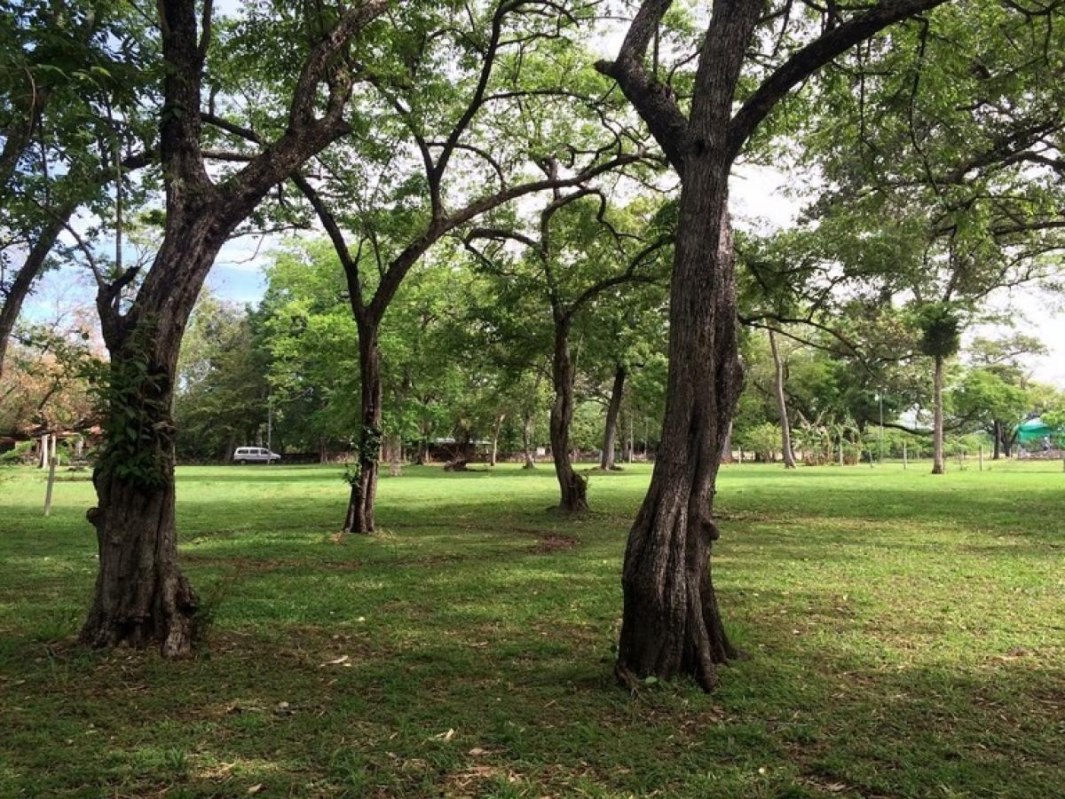 Terrain à Liberia, Costa Rica No. 1798