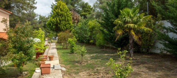 6 bedrooms Villa in Chalkidiki, Greece No. 6084 18