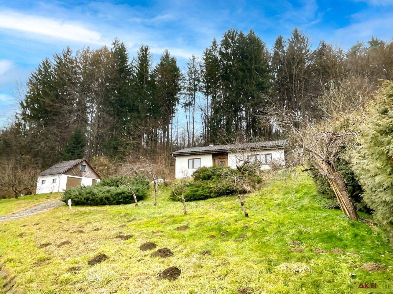 Terrain à Hausmannstatten, Austria 1207m² No. 165673