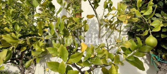 5 bedrooms Penthouse in Olbia, Italy No. 59839 44