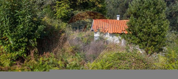  قطعة أرض في Travassos, Portugal 4530متر مربع رقم 33532 3