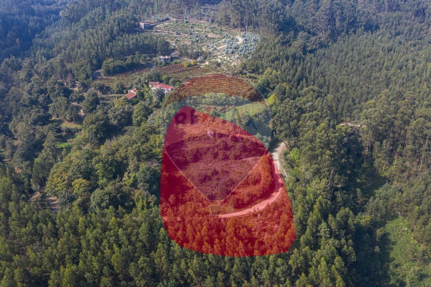  قطعة أرض في Travassos, Portugal 4530متر مربع رقم 33532