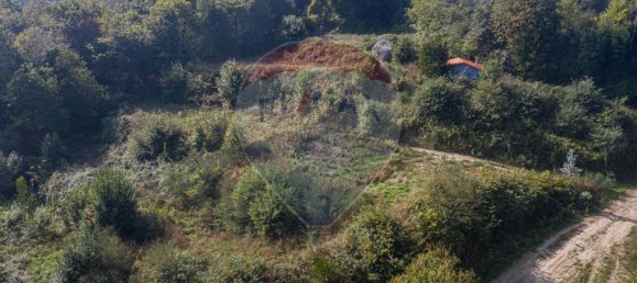  قطعة أرض في Travassos, Portugal 4530متر مربع رقم 33532 6