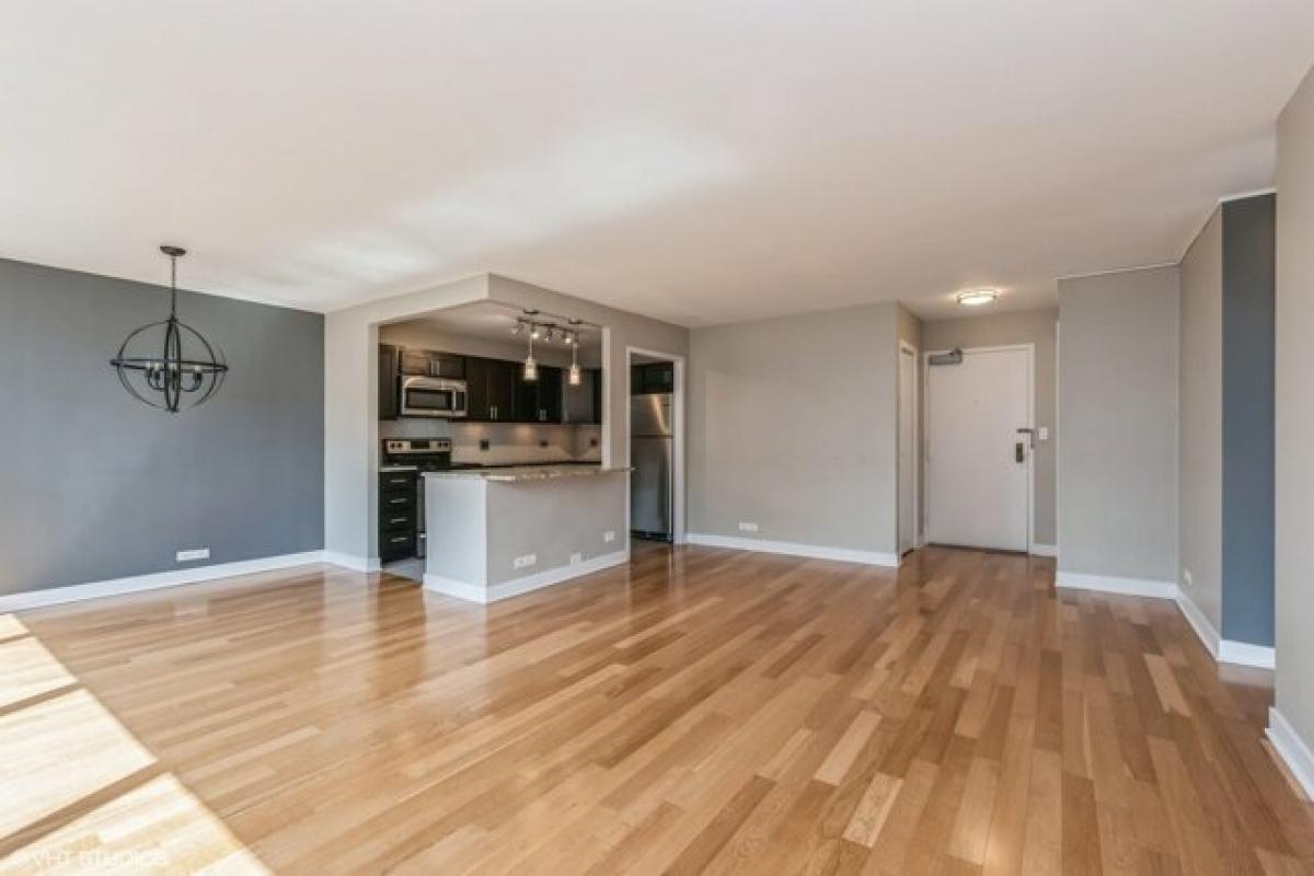 Studio in Chicago, USA No. 405283