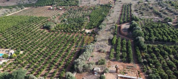 3 Schlafzimmer Haus in Silves, Portugal, Nr. 61529 44