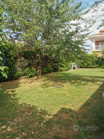 Terrain à Rivalta di Torino, Italy 520m² No. 273536