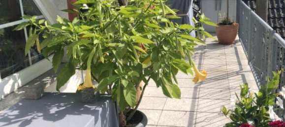 3 bedrooms Building in Westerwaldkreis, Germany No. 229780 2