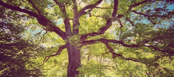 3 chambres Maison de ville à Lahn-Dill, Germany No. 337745 16