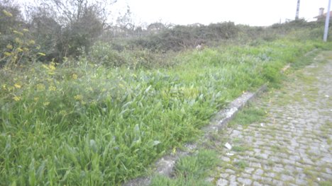 644m² Land in Argoncilhe, Portugal No. 70580